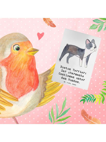 Mr. & Mrs. Panda babykarte Boston Terrier Gentleman mit Spruch in Weiß