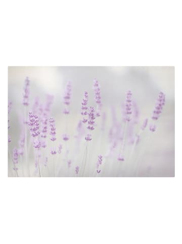 WALLART Leinwandbild - Sommer im Lavendelfeld in Violett