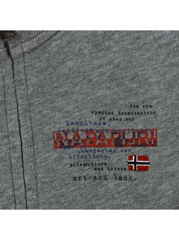 Napapijri Sweatshirt in Gray