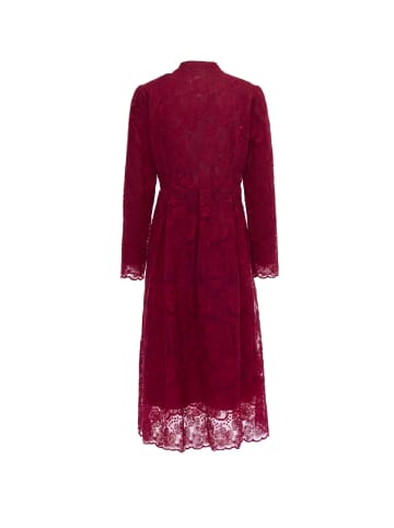 Sidona Women Dress in Wine Red
