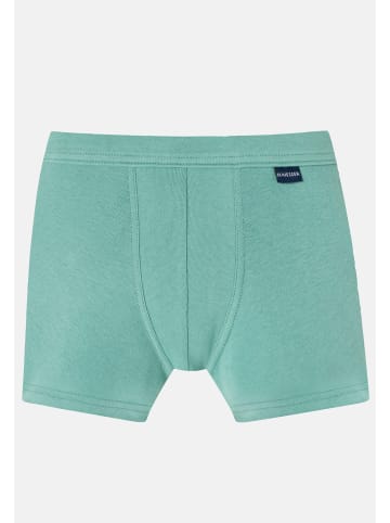 Schiesser Retro Short / Pant Feinripp Organic Cotton in Weiß / Grün