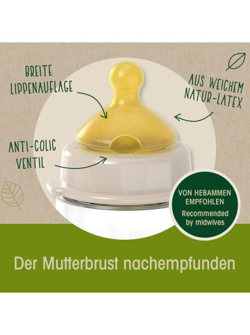nip Glas-Flasche Cherry green 240 ml + Latex-Trinksauger in beige,motiv