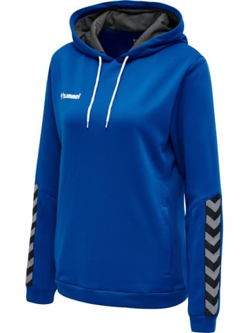Hummel Hoodie in Blau