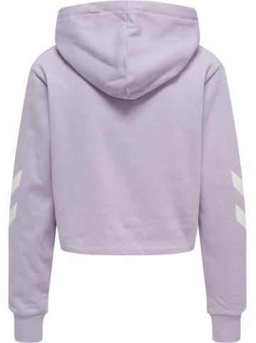 Hummel Hoodie in Lila