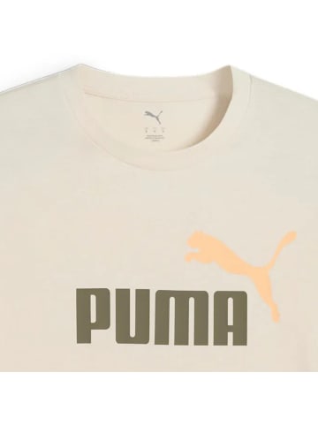 Puma T-Shirt 1er Pack in Beige (Alpine Snow)