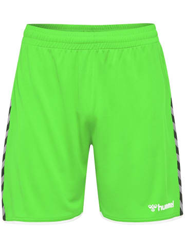 Hummel Hummel Poly Kurze Hose Hmlauthentic Multisport Herren Leichte Design Schnelltrocknend in GREEN GECKO