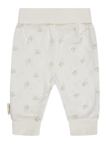 Sterntaler Set Hose im DP Blumen in bunt