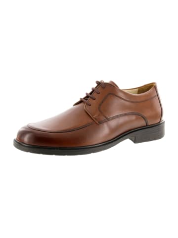 Solidus Schnürschuhe Henk - Weite K in Braun