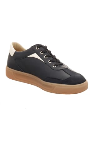 Finn Comfort Sneaker Low in schwarz