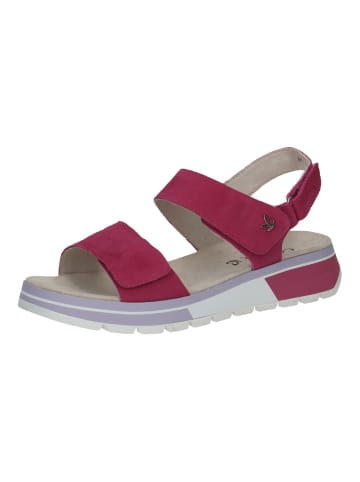 Caprice Sandalen in Fuchsia