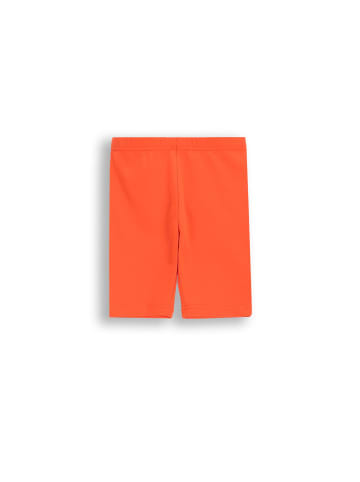 Coccodrillo Kurze Leggings in rot