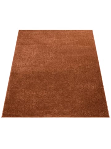 KADIMA DESIGN Waschbarer Teppich waschmaschinenwaschbar Unifarben Küche, Flur in Braun