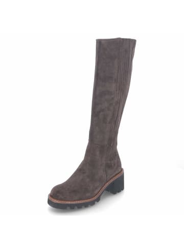 Paul Green Schaftstiefel in brown