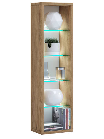 VCM  Holz CD DVD Stand Aufbewahrung Deko Regal Rasato L in Honig-Eiche