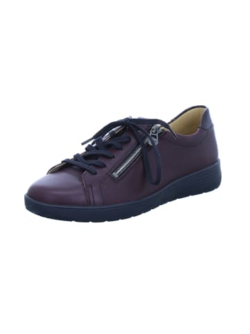 Ganter Sneaker Low in rot