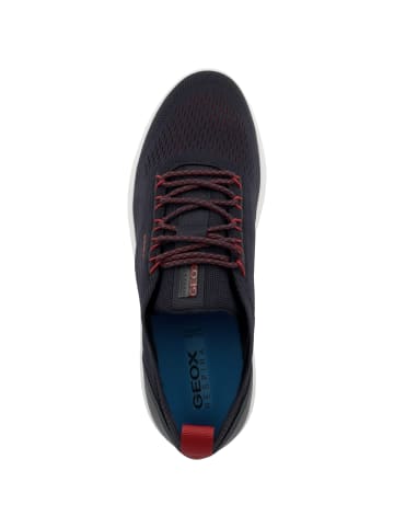 Geox Sneaker low U Spherica A in blau