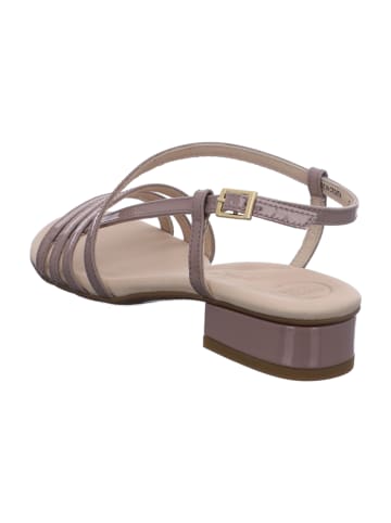 Paul Green Sandalen in Rosa