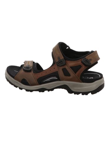 Ecco Outdoorsandalen Offroad in espresso/cocoa brown/black