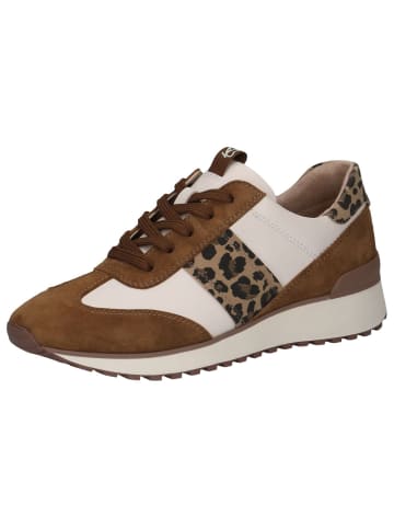 Caprice Sneaker in BROWN/OFFWHITE