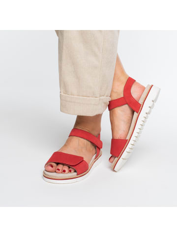 ara Sandalette in rot