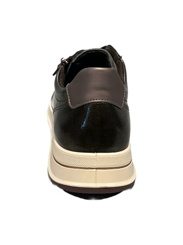 ara Komfort Schnürschuhe in Grün