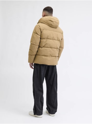 Jack & Jones Jacke in Elmwood