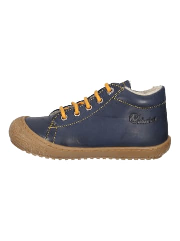 Naturino Sneaker in Blau