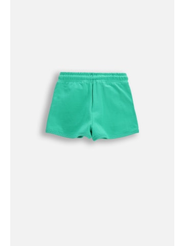 Coccodrillo Kurze Hosen in grün