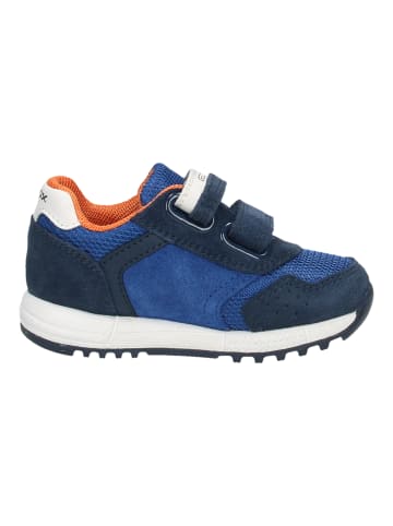 Geox Sneaker in Navy/Orange