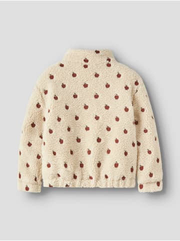 name it Jacke in Turtledove