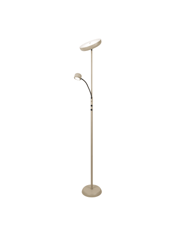 näve LED Stehleuchte "ROMIS" in beige - (L)26 cm x (B)43 cm x (H)180 cm - EEK E