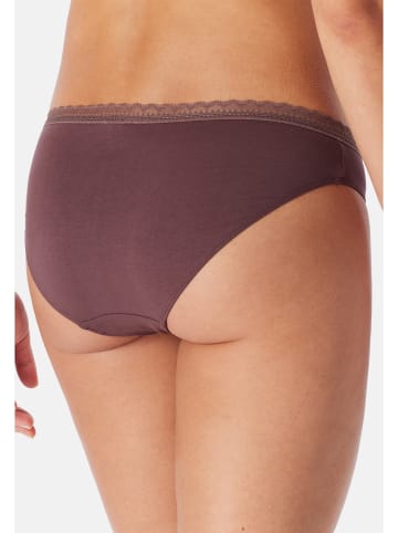 Schiesser Rio Slip 95/5 Modern Cotton in Mehrfarbig