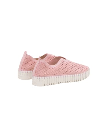 Ilse Jacobsen Sneaker TULIP3373 in adobe rose