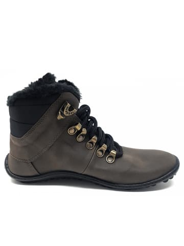 Leguano Schnürstiefel in Braun