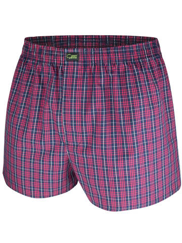 green panther Webboxershorts 6er Pack in Rot / Navy