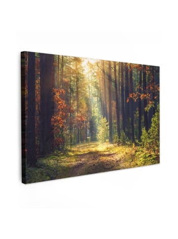 MuchoWow Leinwand bilder Waldpfad