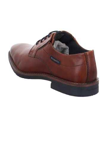 Bugatti Business Schnürschuhe in Braun