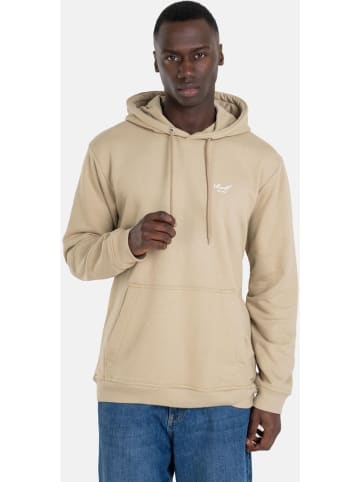 Reell Hoodie "Staple Terry Hoodie" in Grün