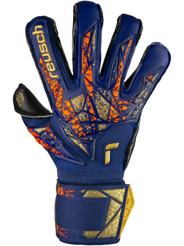 Reusch Torwarthandschuh Attrakt Gold X Evolution in 4411 premium blue/gold/black