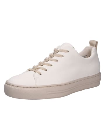 Paul Green Sneaker in beige