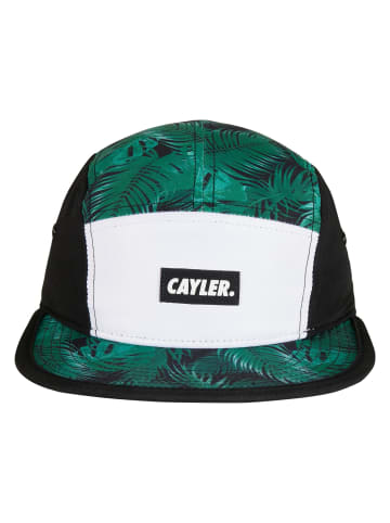  Cayler & Sons  Cayler & Sons Dad Caps in black/mc