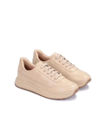 Kazar Sneaker Low  ZINNA in Beige