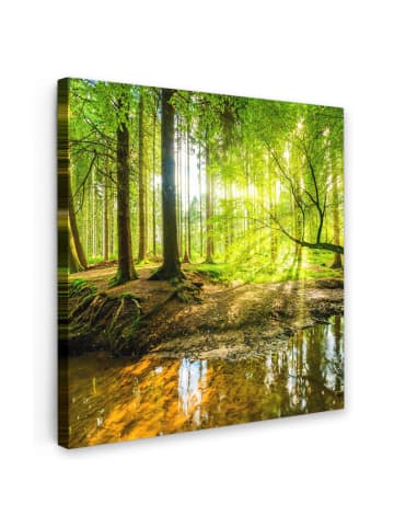 MuchoWow Leinwand bilder Waldlicht (BxH)