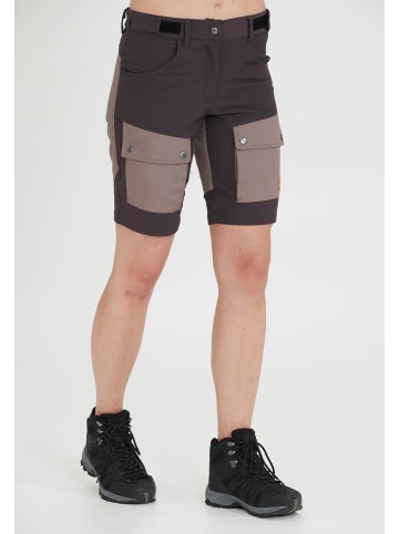 Whistler Shorts Lara in 1080 Iron