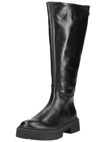Steve Madden Stiefel in Schwarz