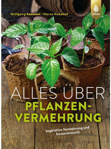 Ulmer Alles über Pflanzenvermehrung | Vegetative Vermehrung und Samenanzucht