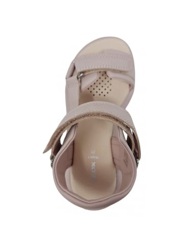 Geox Sandalette  in Rosa