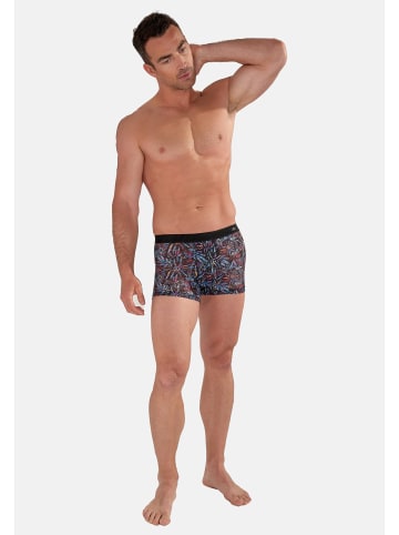 HOM Retro Short / Pant Biscayne in Blue print