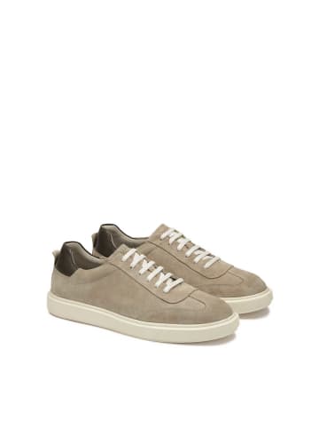 Kazar Sneaker Low in Taupe