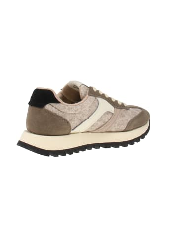 Gant Sneaker low Caffay in Mehrfarbig